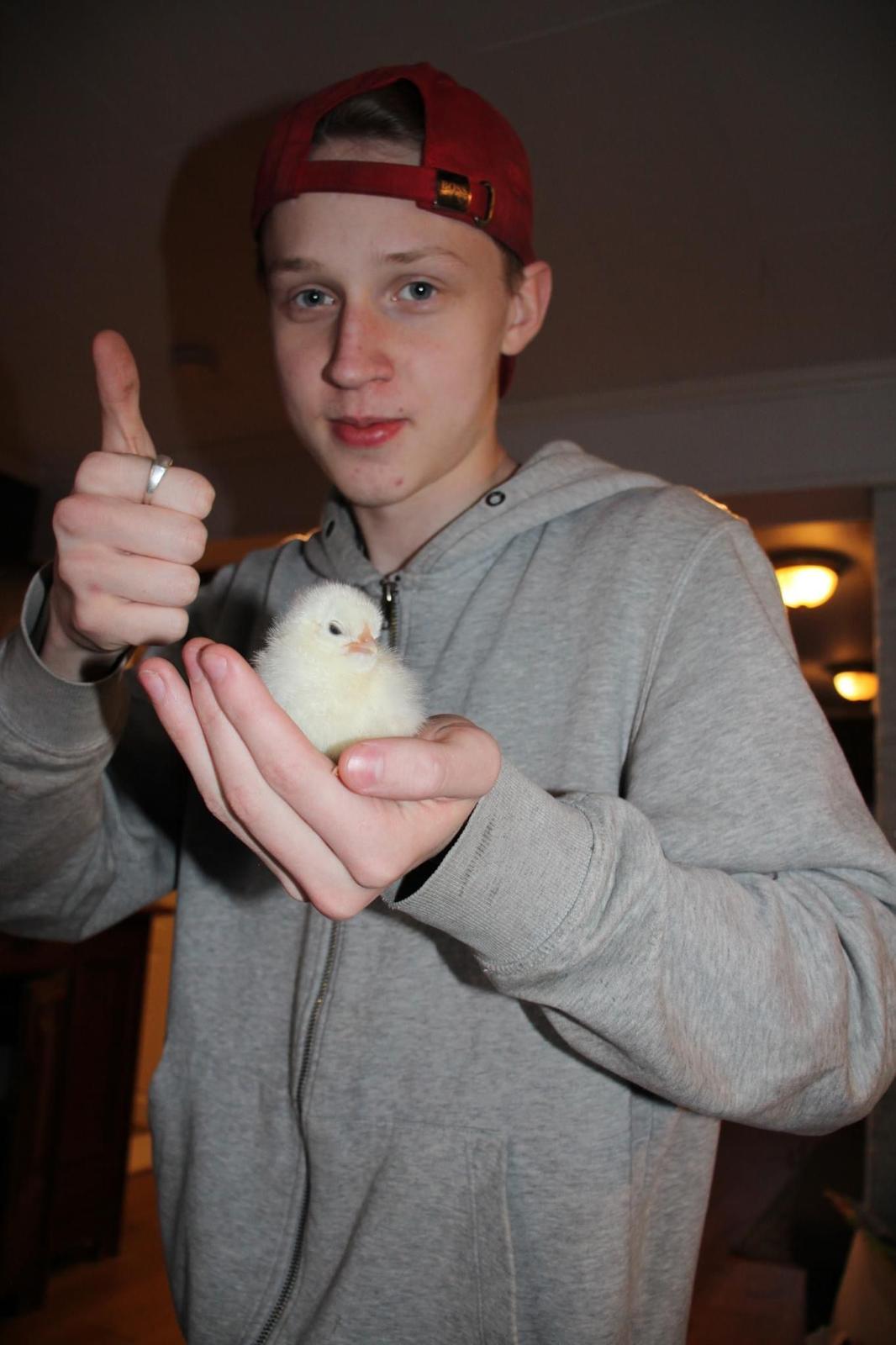 Nathan håller en liten kyckling i handen.